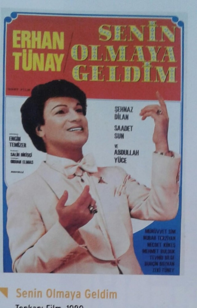 Senin Olmaya Geldim (1980) afişi