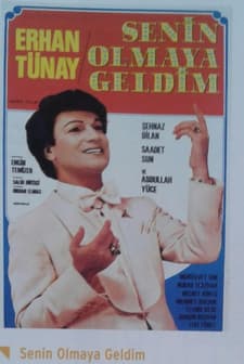 Senin Olmaya Geldim (1980) afişi
