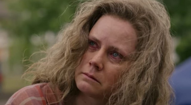 Hillbilly Elegy Fotoğrafı