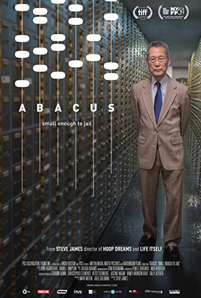 Abacus: Small Enough to Jail (2016) afişi