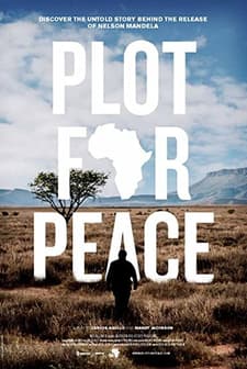 Gizli Kahraman (2013) afişi