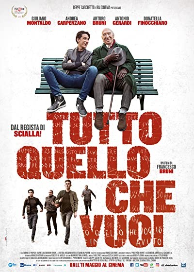 Tutto quello che vuoi (2017) afişi