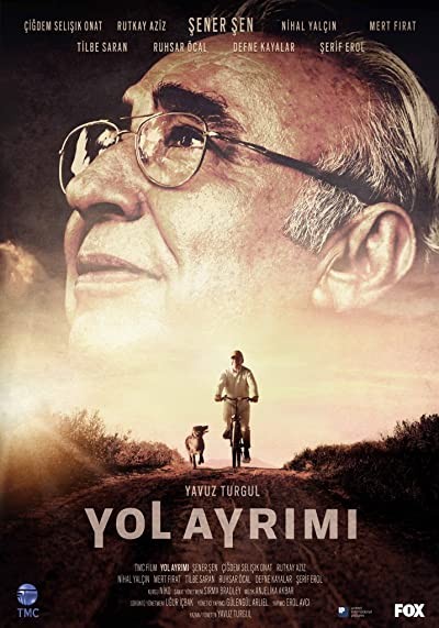 Yol Ayrımı (2017) afişi