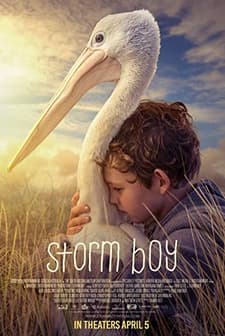 Storm Boy (2019) afişi