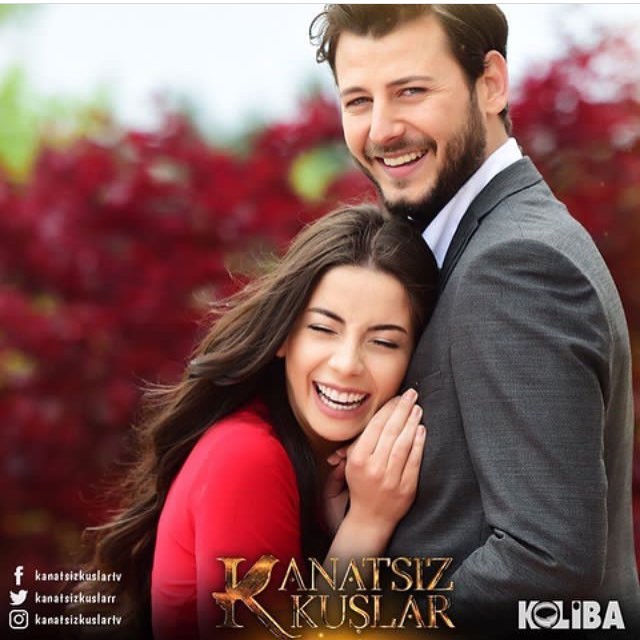 Kanatsız Kuşlar Fotoğrafı