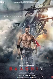 Baaghi 2 (2018) afişi