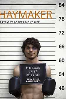 Haymaker (2017) afişi