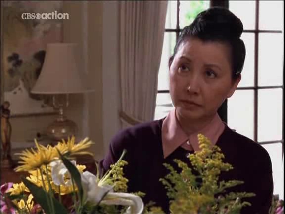 Bir Sıcak Yaz Gecesi Fotoğrafı