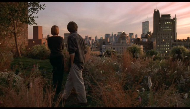 Bed Of Roses fotoğrafı