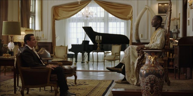 Yeşil Rehber Fotoğrafı