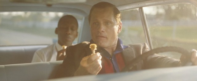 Yeşil Rehber Fotoğrafı