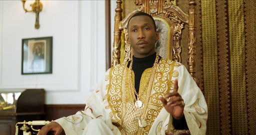 Yeşil Rehber Fotoğrafı