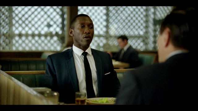 Yeşil Rehber Fotoğrafı