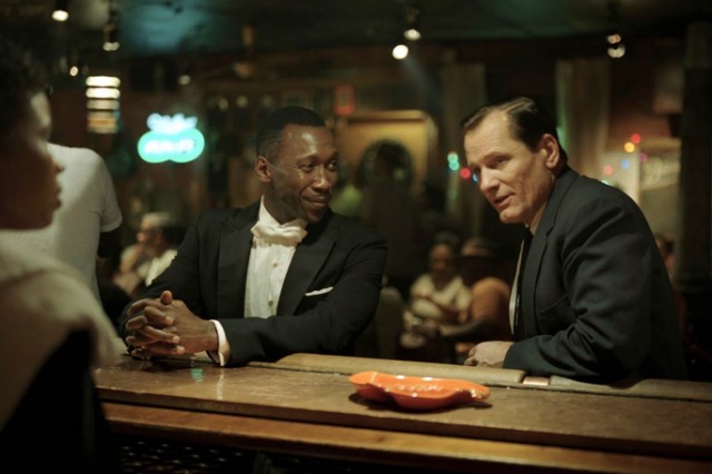 Yeşil Rehber Fotoğrafı