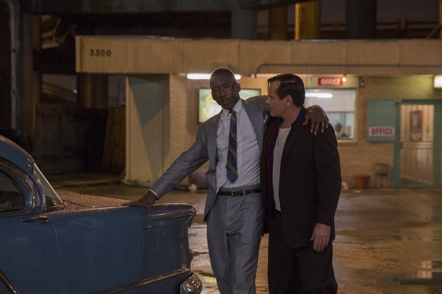 Yeşil Rehber Fotoğrafı