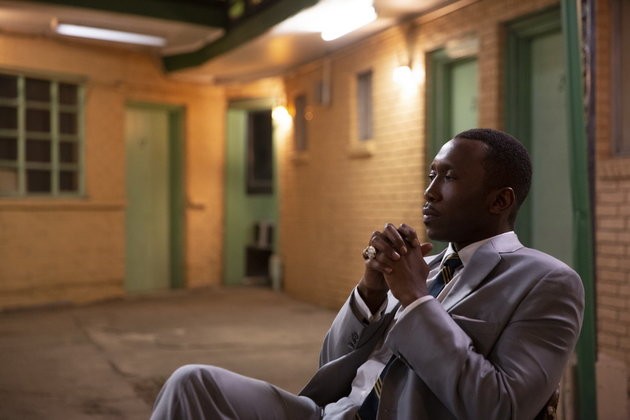 Yeşil Rehber fotoğrafı