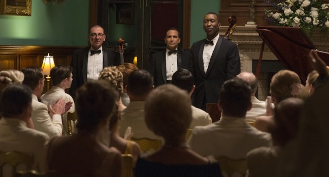 Yeşil Rehber Fotoğrafı