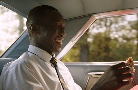 Yeşil Rehber Fotoğrafı