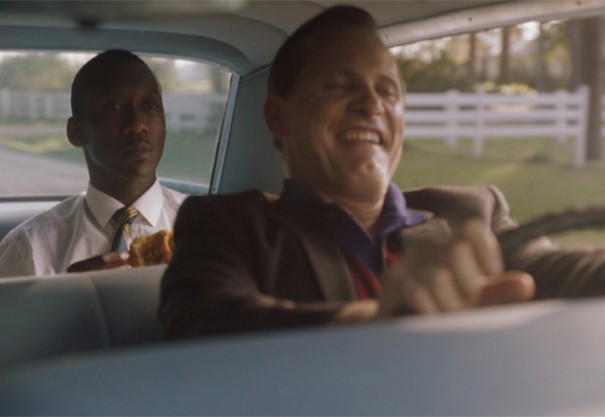 Yeşil Rehber Fotoğrafı