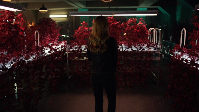 12 Monkeys Fotoğrafı