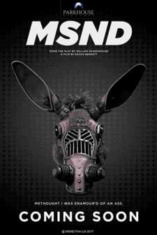 MSND (2018) afişi