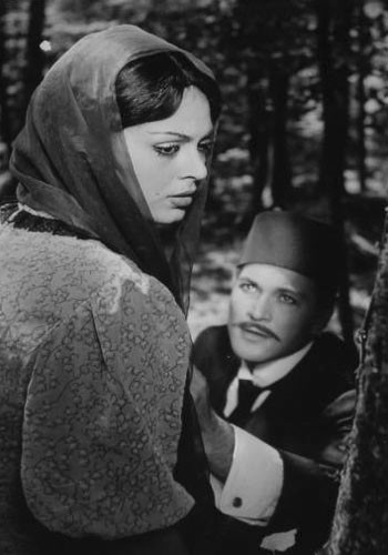 Çalıkuşu Fotoğrafı