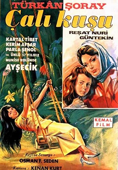 Çalıkuşu (1966) afişi