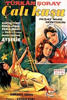 Çalıkuşu (1966) afişi