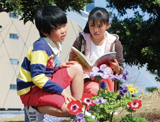 Pirameki Koyaku Koi Monogatari Koyaku ni Akogareru Subete no Oyako no Tameni Fotoğrafı