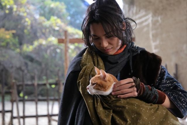 Neko Ninja Fotoğrafı