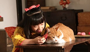 Neko Ninja Fotoğrafı