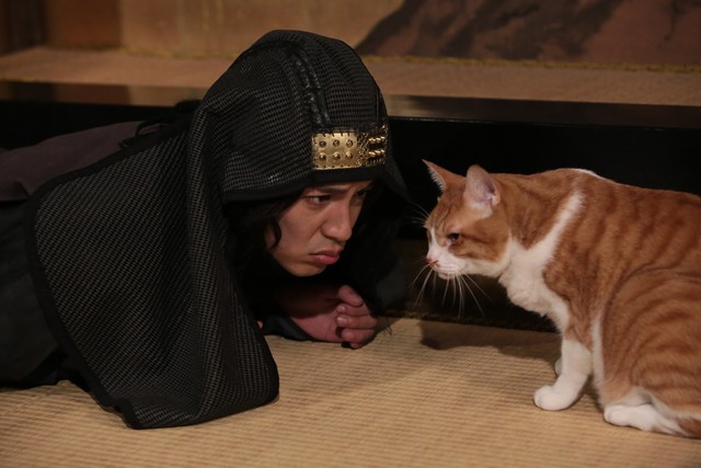 Neko Ninja Fotoğrafı