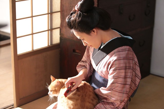 Neko Ninja Fotoğrafı