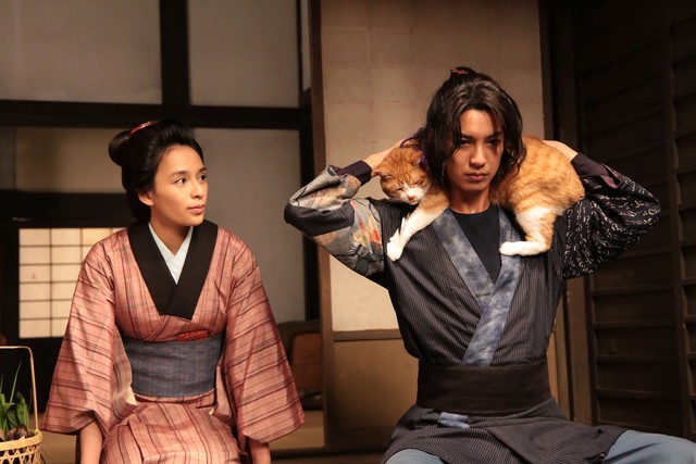 Neko Ninja Fotoğrafı