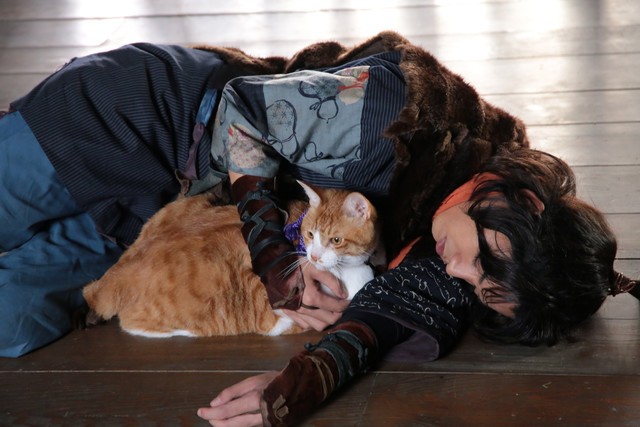 Neko Ninja Fotoğrafı