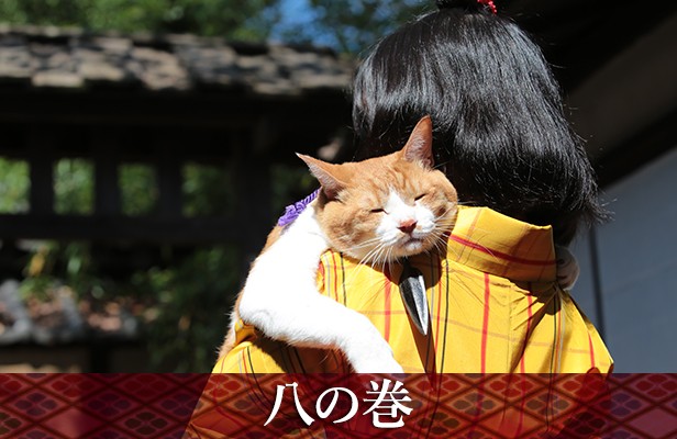 Neko Ninja Fotoğrafı