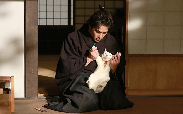 Neko Ninja Fotoğrafı