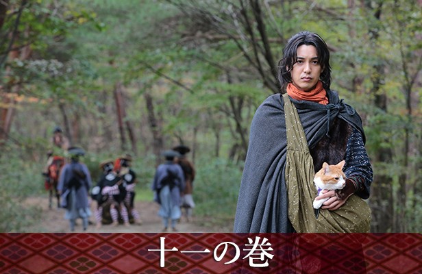 Neko Ninja Fotoğrafı