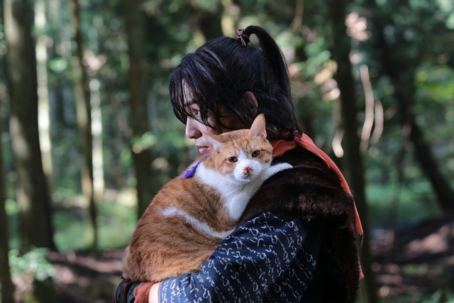 Neko Ninja Fotoğrafı