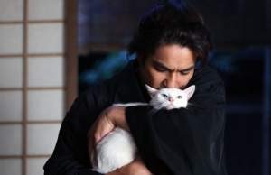 Neko Ninja Fotoğrafı