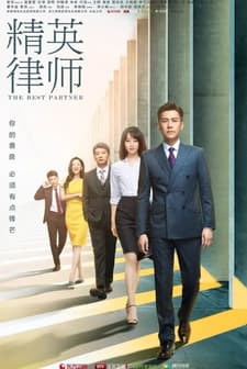 The Best Partner (2019) afişi