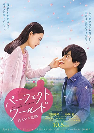Perfect World (2018) afişi