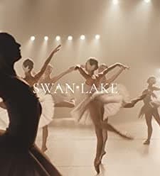 A Swan Lake (2019) afişi