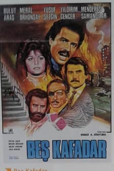 Beş Kafadar (1984) afişi