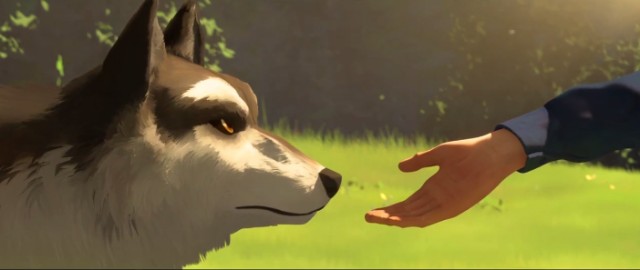 Beyaz Diş Fotoğrafı