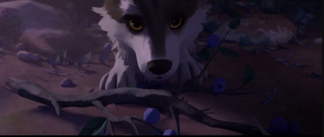 Beyaz Diş Fotoğrafı