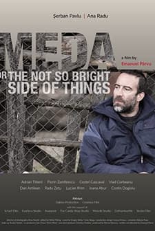 Meda Sau Partea Nu Prea Fericita a Lucrurilor (2017) afişi