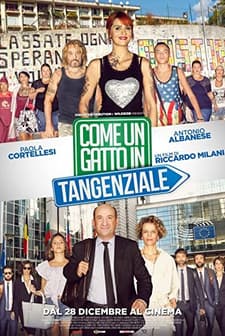 Come un gatto in Tangenziale (2017) afişi