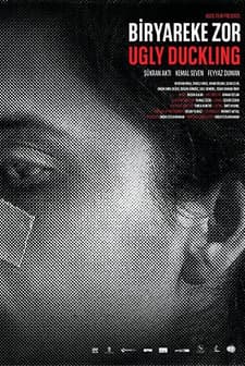 Zor Bir Karar (2017) afişi