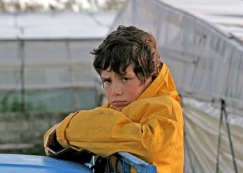 Salvatore fotoğrafı